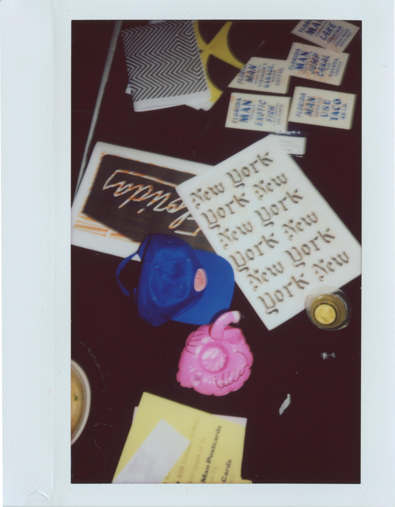 gander-flny-polaroid-merch@2x