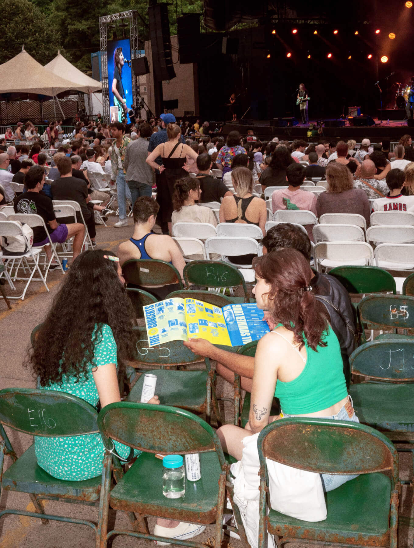 gander-celebrate-brooklyn-crowd